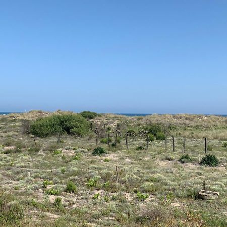 Mon Petit Paradis, Vue Sur Dunes Et Mer, Acces Direct Plage Robinson, Terrasse, Parking Prive, Tres Ressourcant, A Marseillan Plage Exteriér fotografie